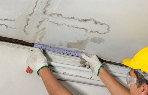 Reliable Mold Remediation contractor in Wykoff, MN by Water Damage Irwin